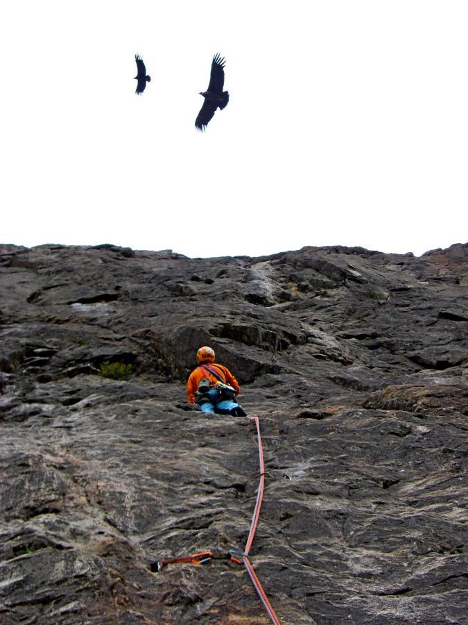 Casaandina Chalten El Chalten Eksteriør bilde